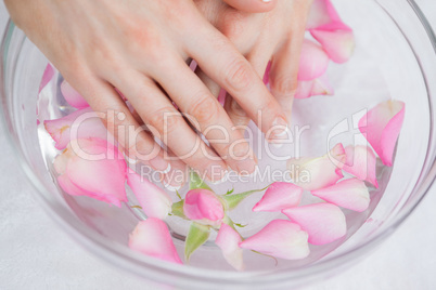 Woman's hands in bowl with petals at hands spa