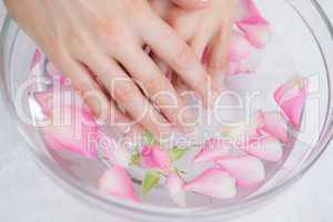 Woman's hands in bowl with petals at hands spa