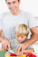 Father helping son to slice vegetables