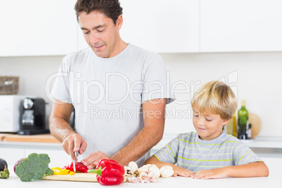 Son watching father preparing vegetables