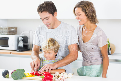 Mother watching father teaching son to chop vegetables