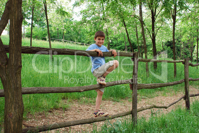 Young smiling boy on fence