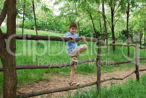 Young smiling boy on fence