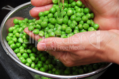 Rinsing green peas