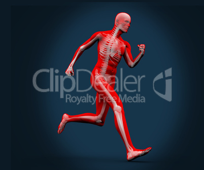 Digital body running on a blue background