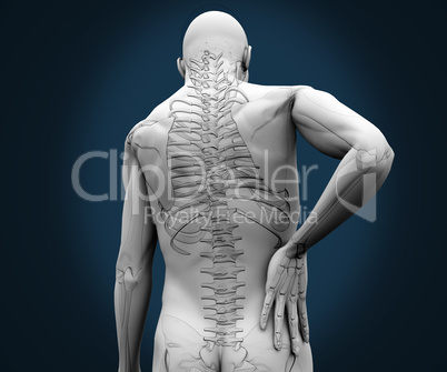 Skeleton having pain on his back