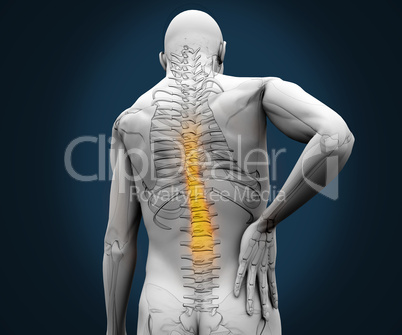 Digital skeleton having pain on his back