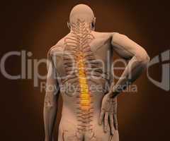 Digital skeleton having highlighted pain on his back