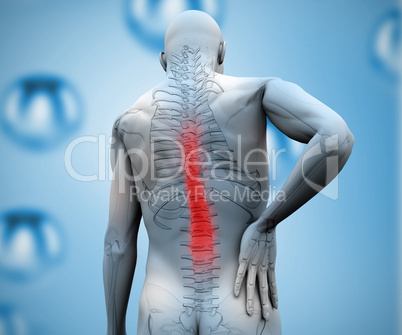 Digital figure with highlighted back pain