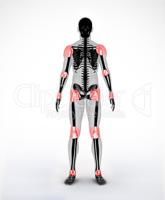 Joints of a black digital skeleton