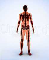 Orange digital skeleton