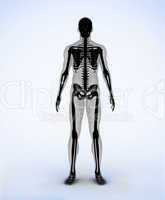 Black digital skeleton