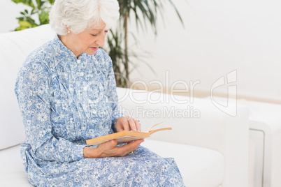 Elderly calm woman reading a old book