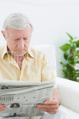 Elderly focused man reading newspapers