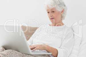 Old woman typing on her laptop