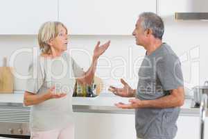 Wife quarrelling with her husband