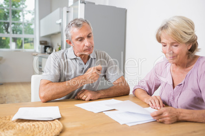 Couple reading documents together