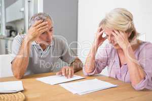 Focused couple reading documents together