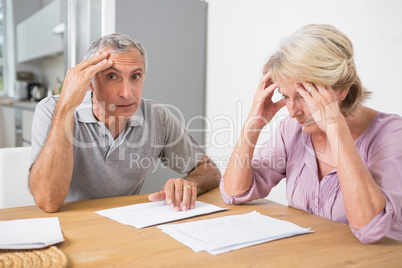 Concentrated couple reading documents together