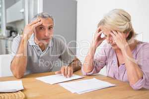 Concentrated couple reading documents together