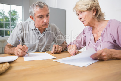 Couple discussing with documents