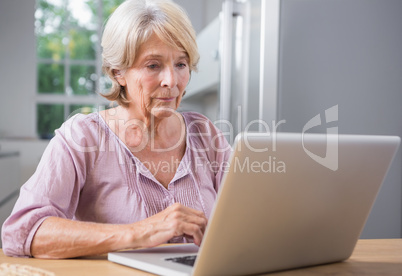 Calm woman using her laptop