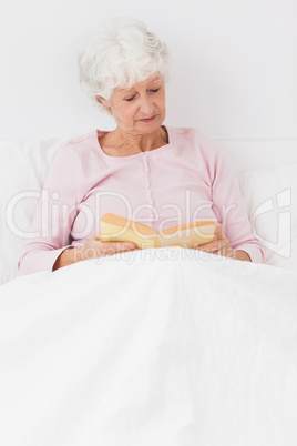 Woman reading in bed Woman reading in bed
