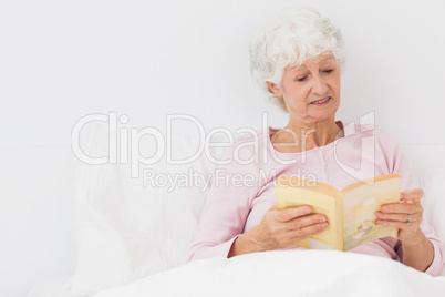 Elderly woman reading