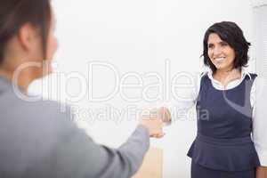 Two businesswomen shaking hands and smiling