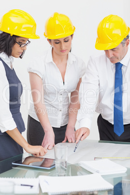 Architects looking at plan