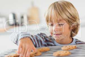 Boy taking a cookie