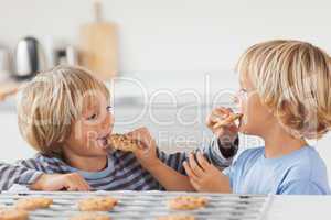 Brothers eating cookies together
