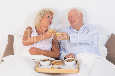 Aged couple toasting with orange juice