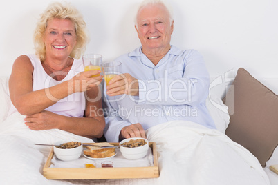 Smiling aged couple toasting