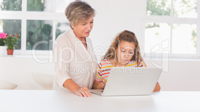 Grandmother and child looking at laptop together
