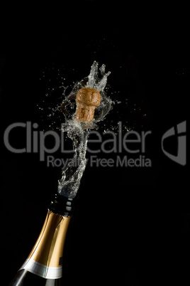 Champagne cork poppins