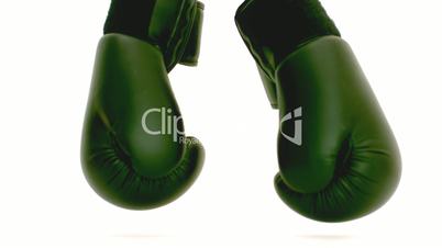 Boxhandschuhe