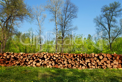 Firewood pile outdoor