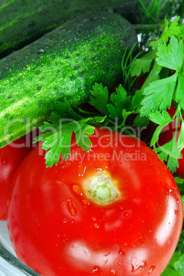 Appetizing fresh vegetables