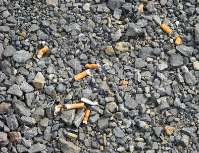 Scattered cigarette butts