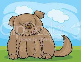 Sheepdog shaggy dog cartoon illustration