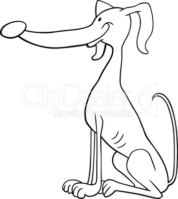 greyhound dog cartoon for coloring book