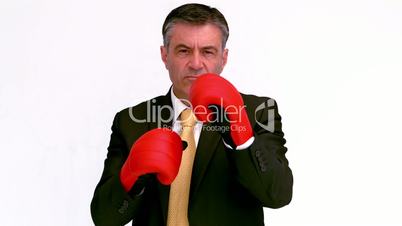 Boxing businessman