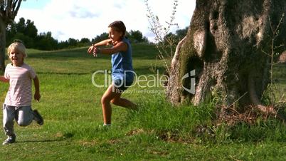 Little girl running after a little boy around a tree