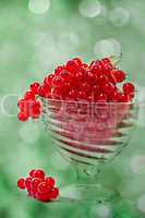 Red currant on the abstract background