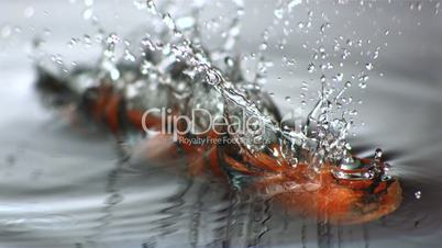 Carrot falling in water