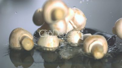 Mushrooms dropping in water