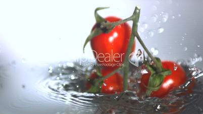 Vine tomatoes dropping in water