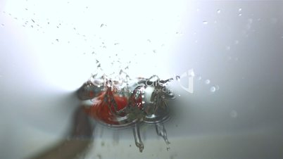 Tomato dropping in water