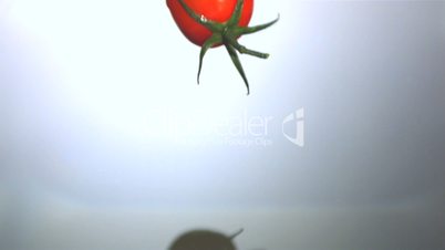 Vine tomato dropping in water